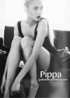 Piper