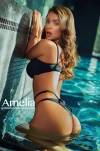Amelia’s5